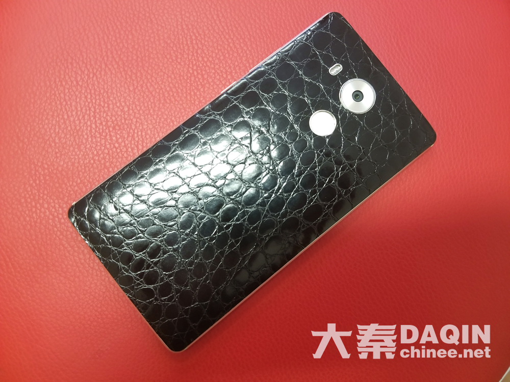 black crocodile skin