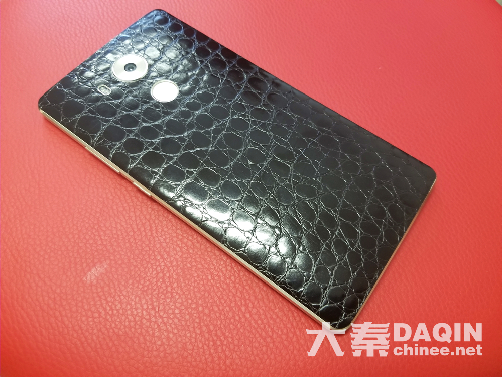 black crocodile skin